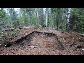 [forest] dugout after the first winter - what you saw when you returned