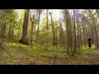 [forest] house underground with hands - elk on the threshold, forest kitchen, walls from logs - building a dugout