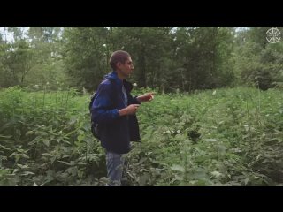 [sansara] gone from people into the forest and became a hermit. robinson from the moscow region. watch to the end