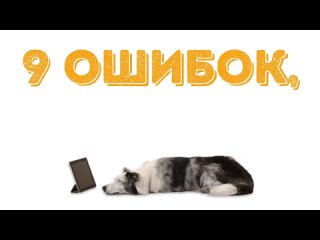 [adme ru - website about creativity] you feed your pet wrong