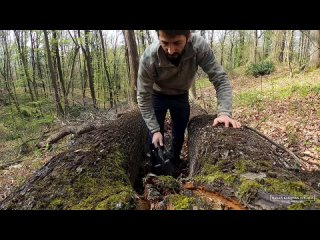 [hakan karahan do ada] solo two days camping at my bushcraft camp - sleep in earth shelter - cook big steak on mud stove