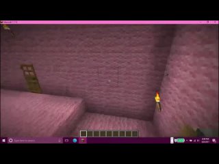 [pigpig gamer] minecraft mod showcase | custom steve mod