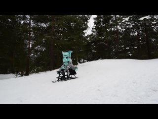 [furry time] fursuit sledding